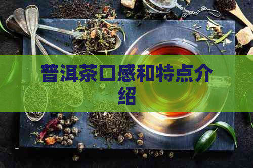 普洱茶口感和特点介绍