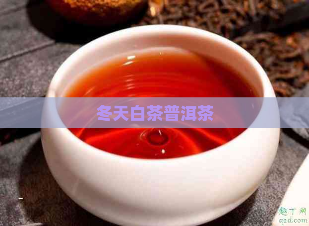 冬天白茶普洱茶