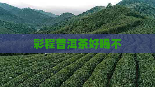 彩程普洱茶好喝不