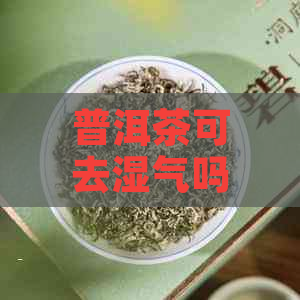 普洱茶可去湿气吗