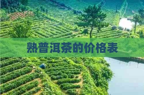 熟普洱茶的价格表