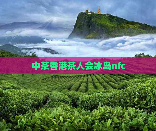 中茶茶人会冰岛nfc