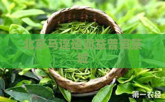 北京马连道润益普洱茶城