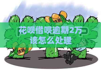 花呗借呗逾期2万该怎么处理