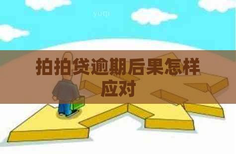 逾期后果怎样应对