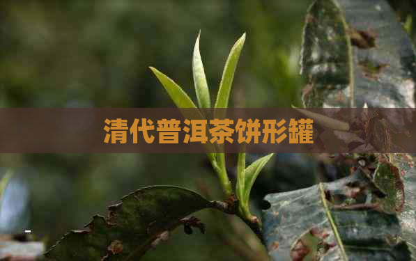 清代普洱茶饼形罐