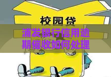 浦发银行信用逾期如何处理