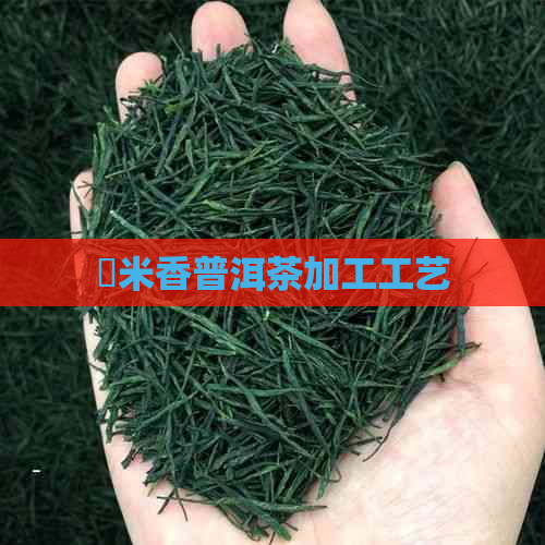 檽米香普洱茶加工工艺