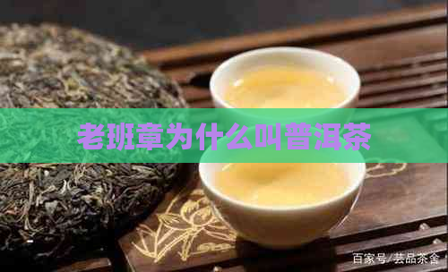 老班章为什么叫普洱茶