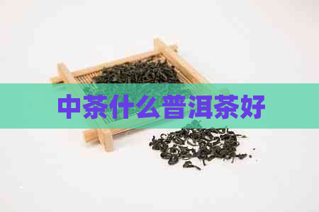 中茶什么普洱茶好