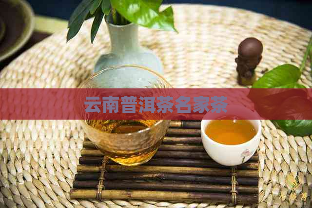 云南普洱茶名家茶