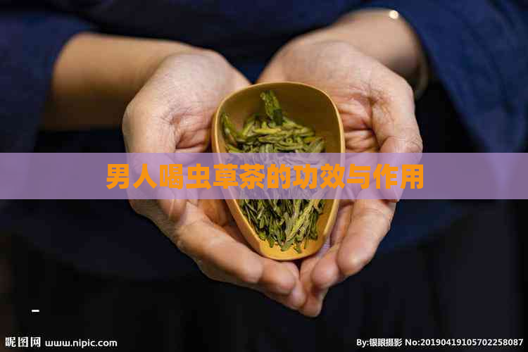 男人喝虫草茶的功效与作用