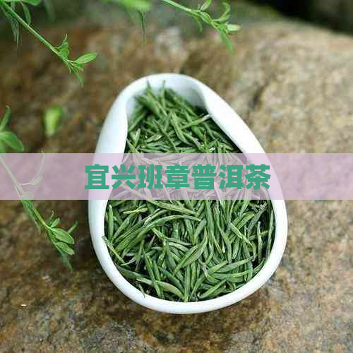 宜兴班章普洱茶