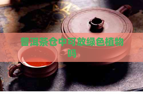 普洱茶仓中可放绿色植物吗