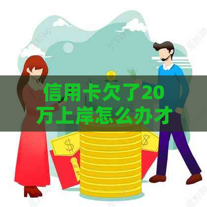 信用卡欠了20万上岸怎么办才好