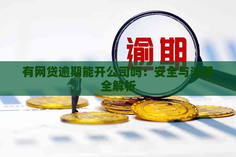 有网贷逾期能开公司吗：安全与注册全解析