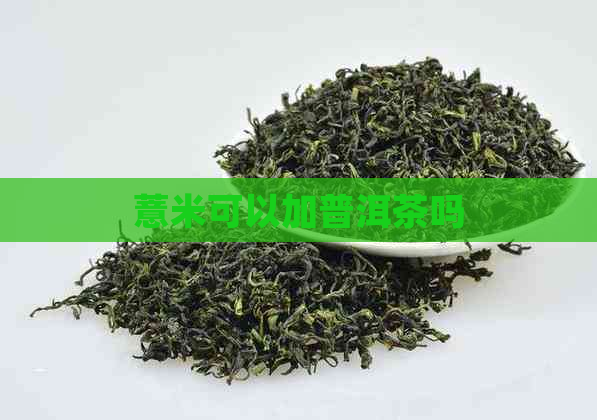 薏米可以加普洱茶吗