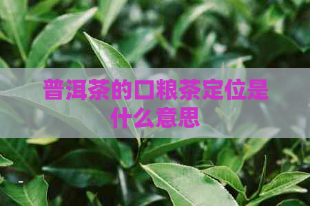 普洱茶的口粮茶定位是什么意思