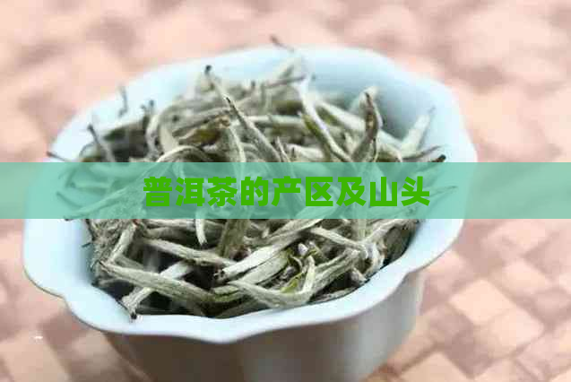 普洱茶的产区及山头