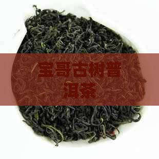 宝哥古树普洱茶