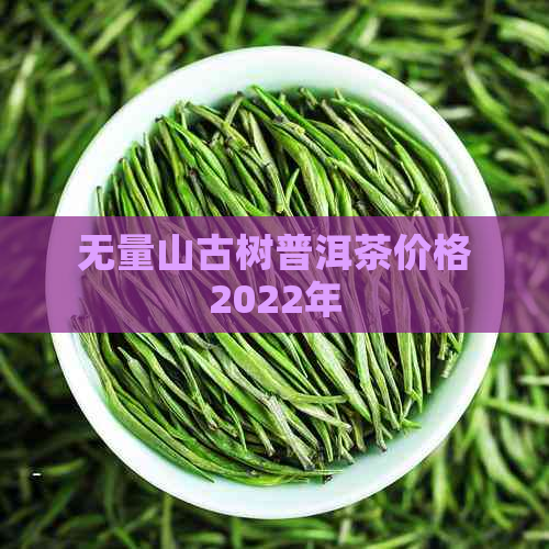 无量山古树普洱茶价格2022年