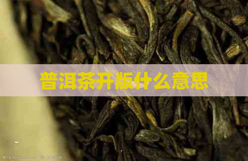 普洱茶开版什么意思