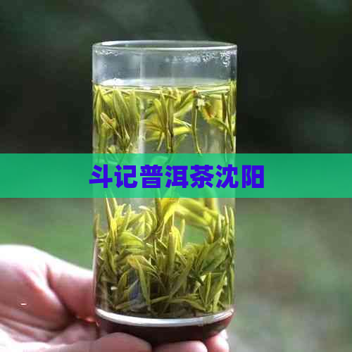 斗记普洱茶沈阳