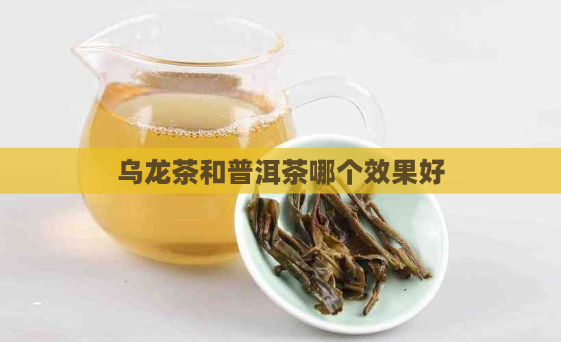 乌龙茶和普洱茶哪个效果好