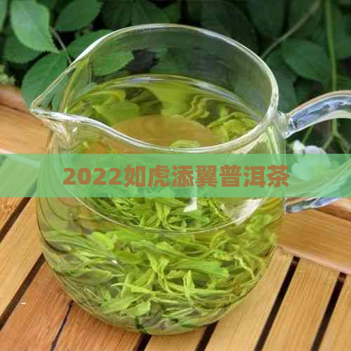 2022如虎添翼普洱茶