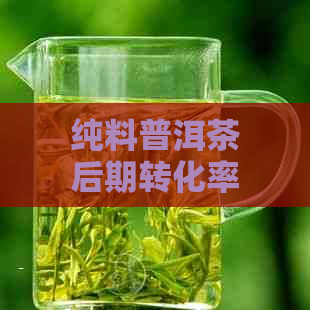 纯料普洱茶后期转化率低