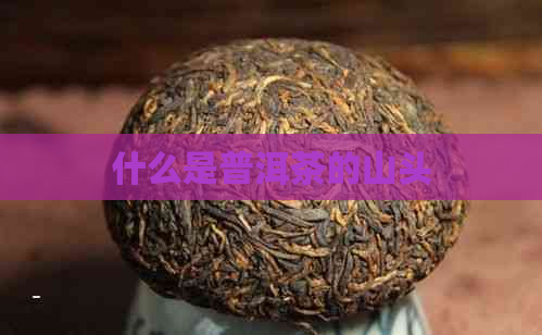 什么是普洱茶的山头