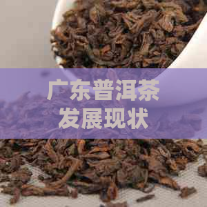 广东普洱茶发展现状