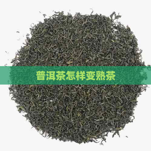 普洱茶怎样变熟茶