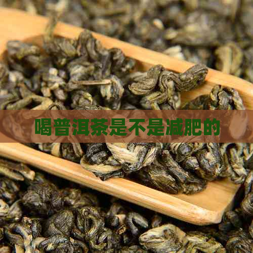 喝普洱茶是不是减肥的