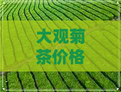 大观菊茶价格查询