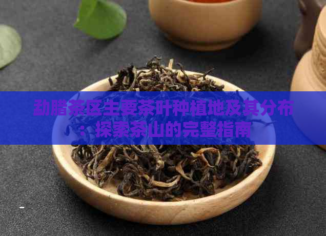 勐腊茶区主要茶叶种植地及其分布：探索茶山的完整指南