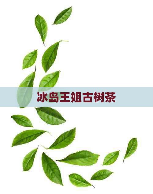 冰岛王姐古树茶