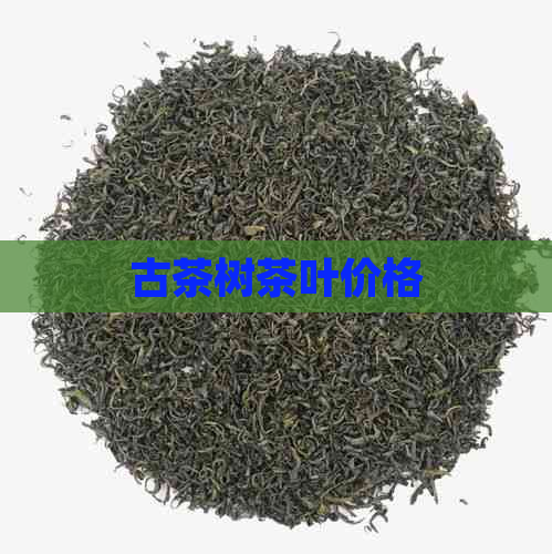 古茶树茶叶价格