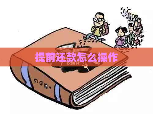 提前还款怎么操作