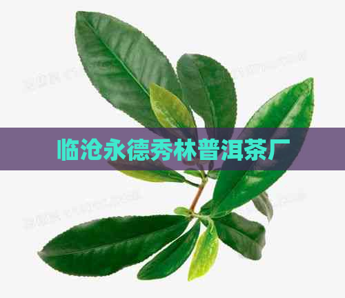 临沧永德秀林普洱茶厂