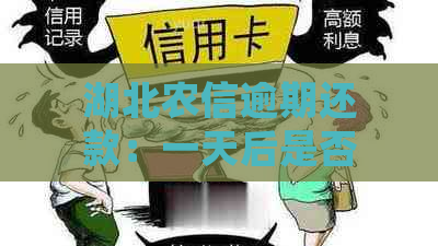 湖北农信逾期还款：一天后是否会自动扣款？详细解答与相关规定