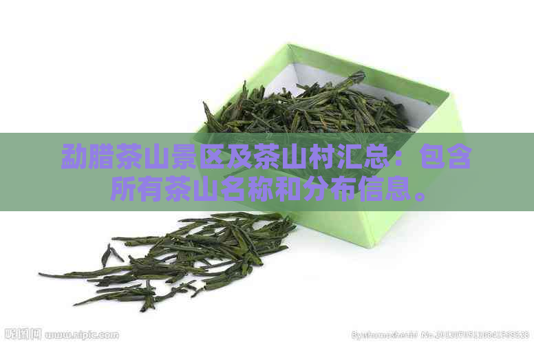 勐腊茶山景区及茶山村汇总：包含所有茶山名称和分布信息。