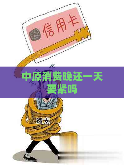 中原消费晚还一天要紧吗