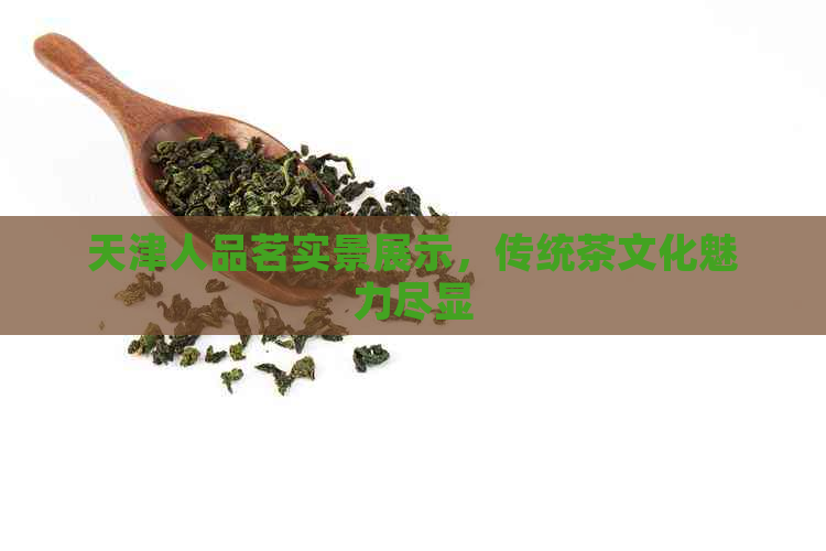 天津人品茗实景展示，传统茶文化魅力尽显