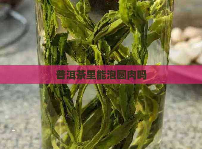 普洱茶里能泡圆肉吗