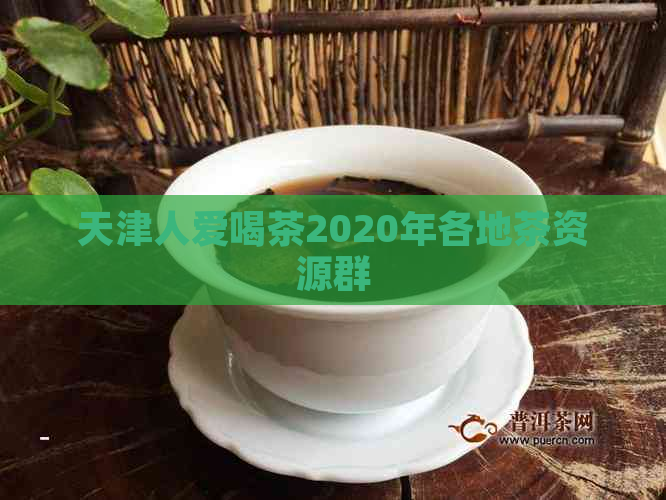 天津人爱喝茶2020年各地茶资源群