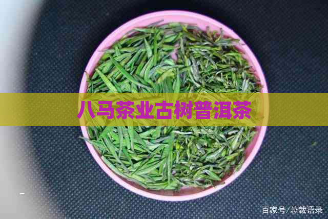 八马茶业古树普洱茶