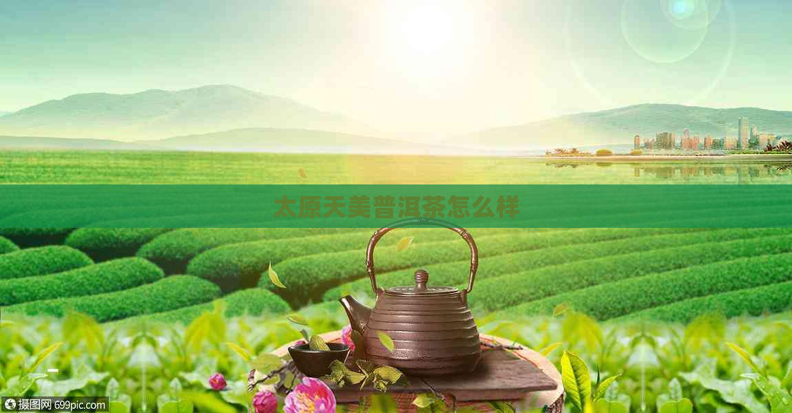 太原天美普洱茶怎么样