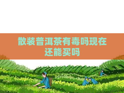 散装普洱茶有吗现在还能买吗