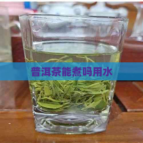 普洱茶能煮吗用水